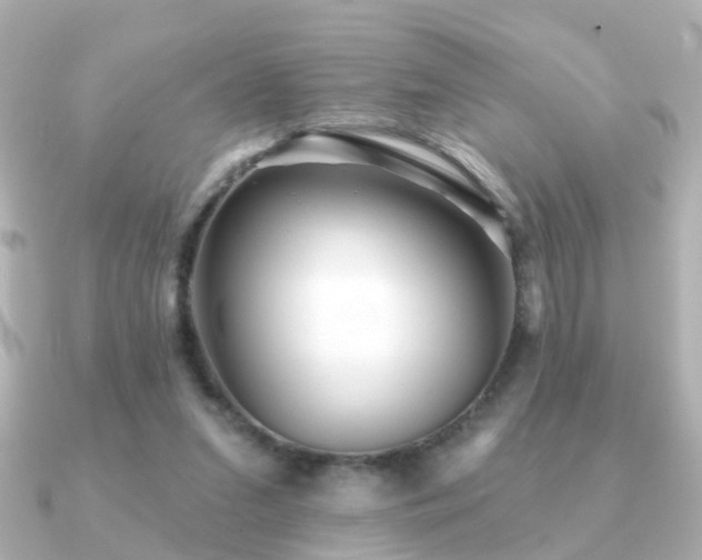 X0000091230207200708091423