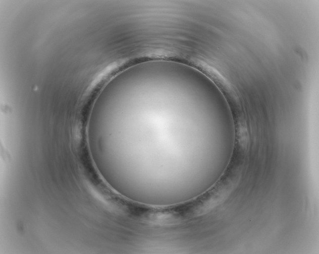 X0000091230208200708091423