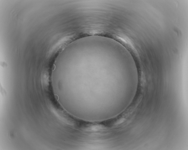 X0000091230210200708091423