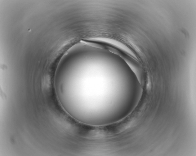 X0000091230211200708091423