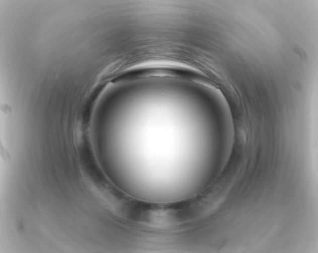 X0000091230216200708091423