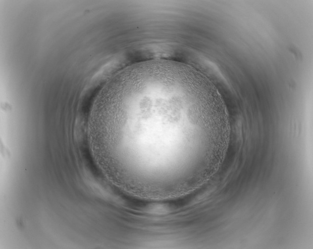 X0000091230218200708091423