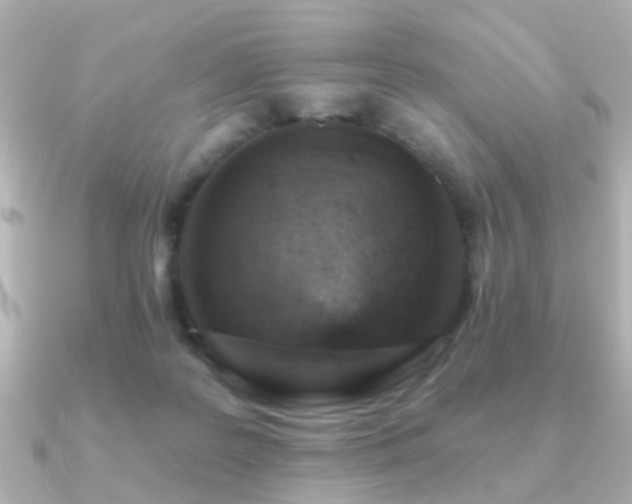X0000091230219200708091423