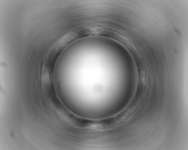 X0000091230220200708091423