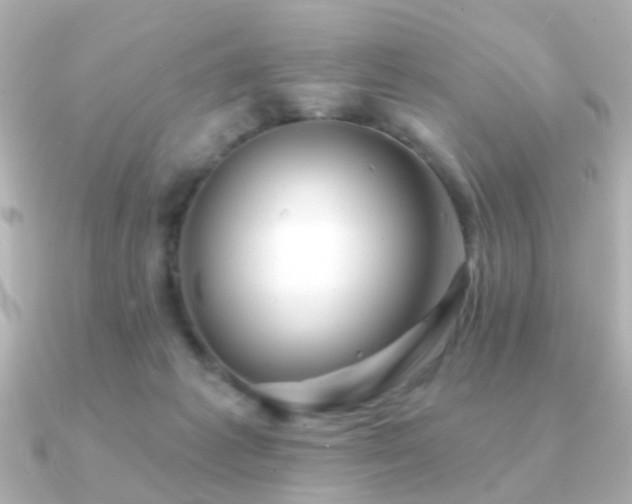 X0000091230221200708091423