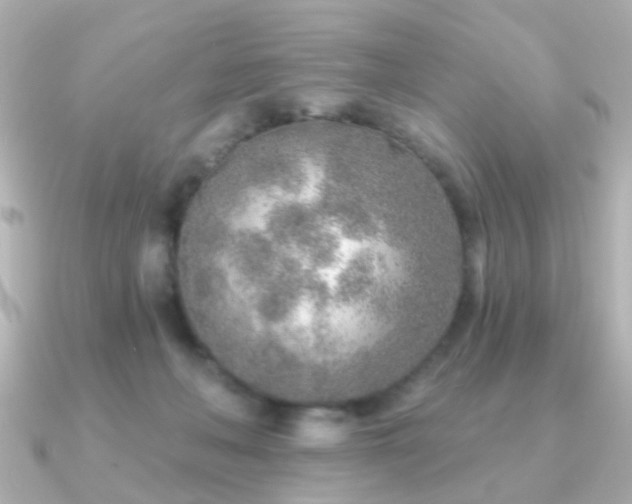 X0000091230222200708091423