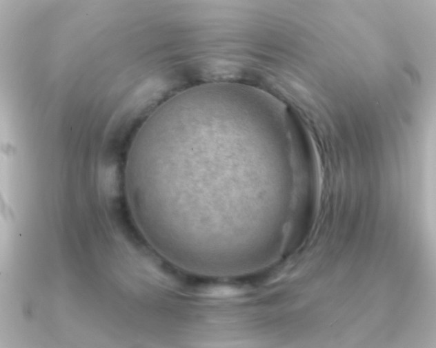 X0000091230224200708091423