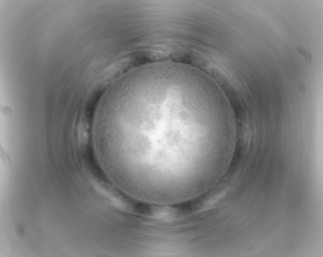 X0000091230226200708091423