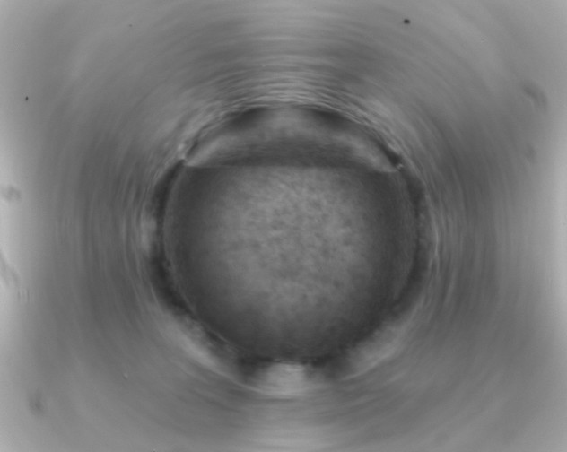 X0000091230227200708091423