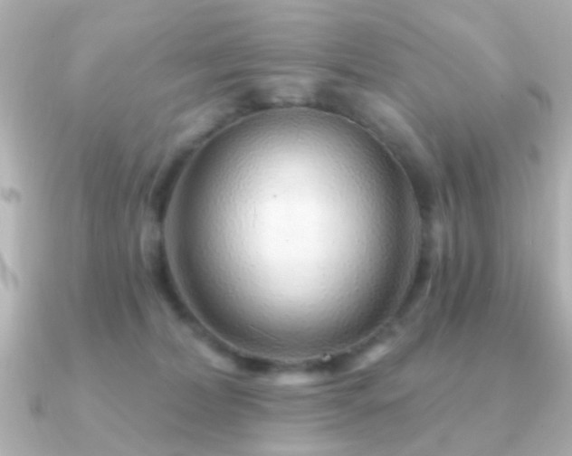 X0000091230228200708091423