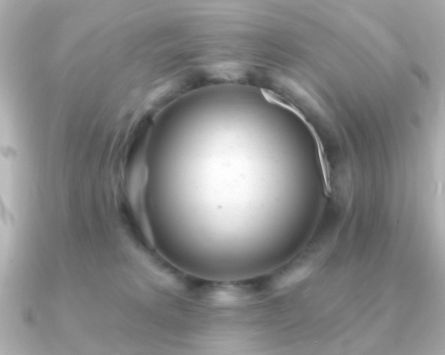 X0000091230229200708091423