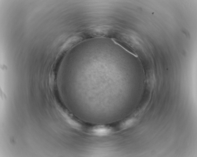 X0000091230231200708091423