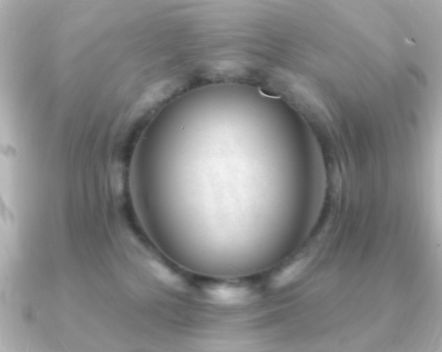 X0000091230232200708091423