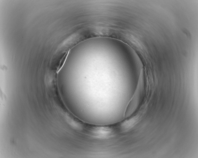 X0000091230233200708091423