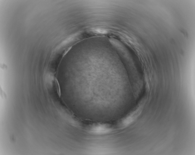 X0000091230235200708091423