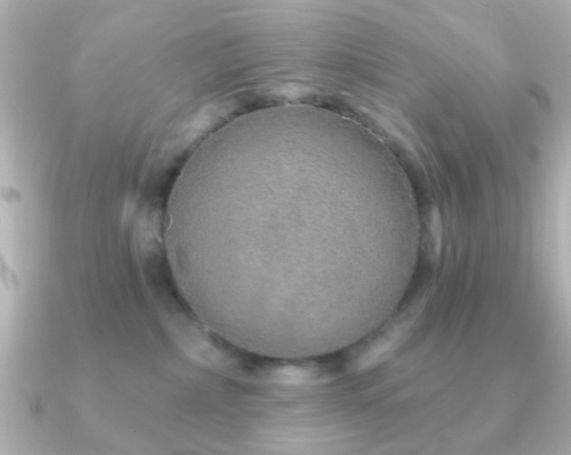 X0000091230236200708091423