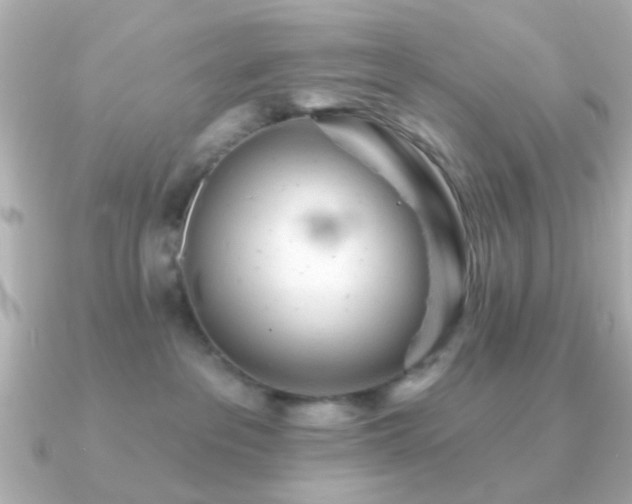 X0000091230237200708091423