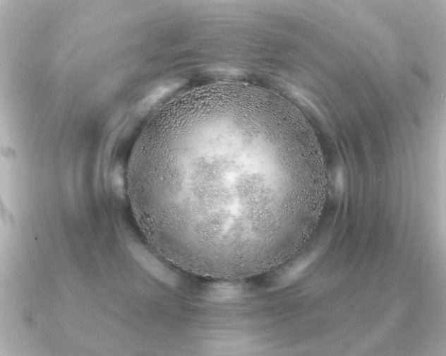 X0000091230238200708091423