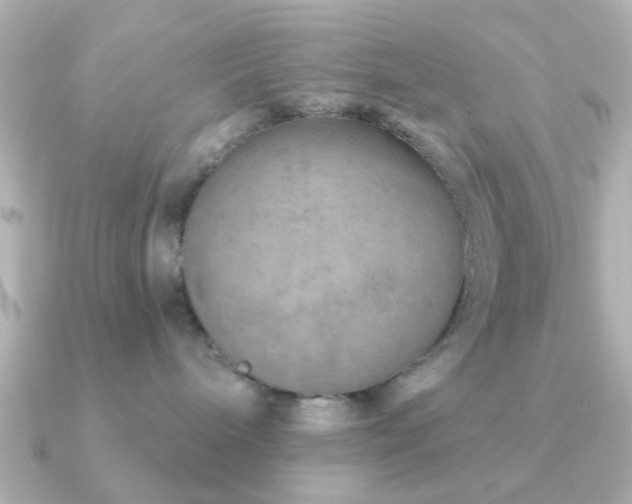 X0000091230240200708091423
