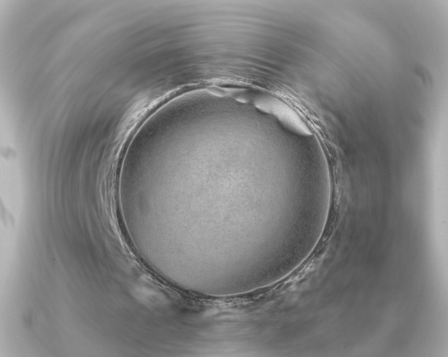 X0000091230241200708091422