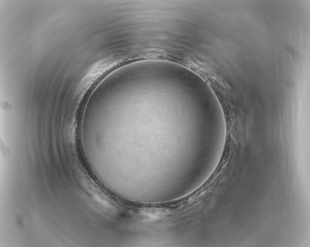 X0000091230242200708091422