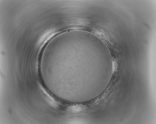 X0000091230243200708091422
