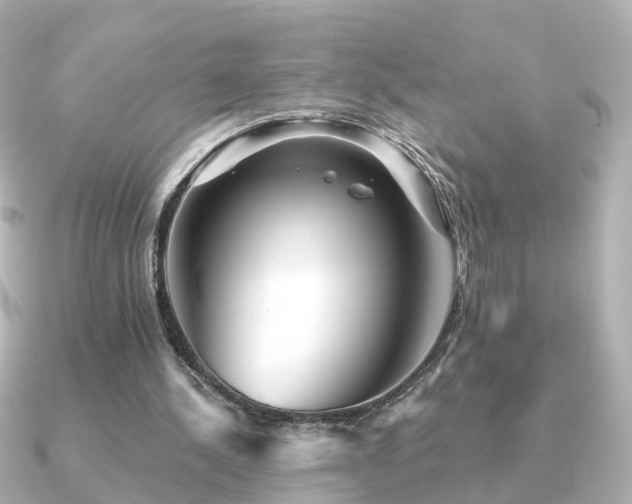 X0000091230244200708091422