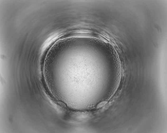 X0000091230245200708091422