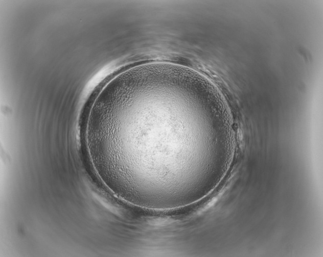 X0000091230246200708091422