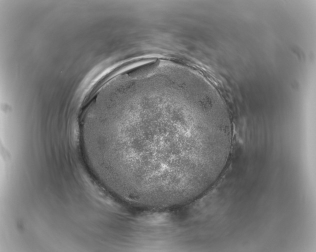 X0000091230247200708091423