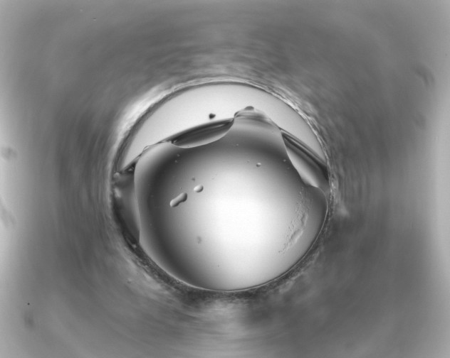 X0000091230248200708091423
