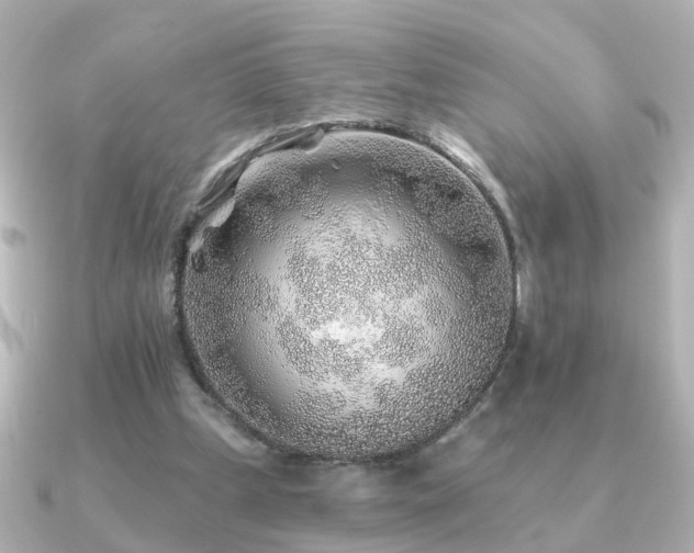 X0000091230249200708091423