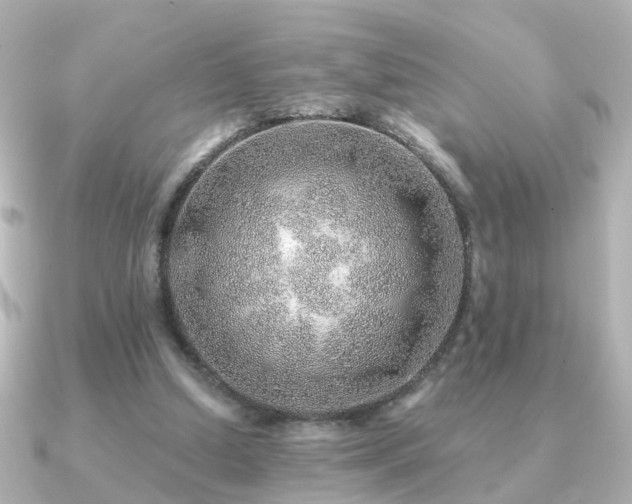 X0000091230250200708091423
