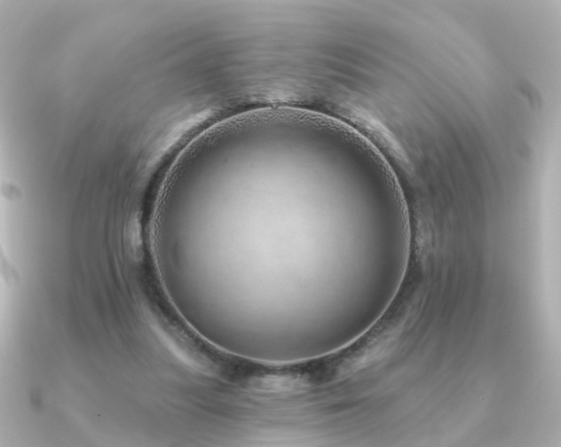 X0000091230251200708091423