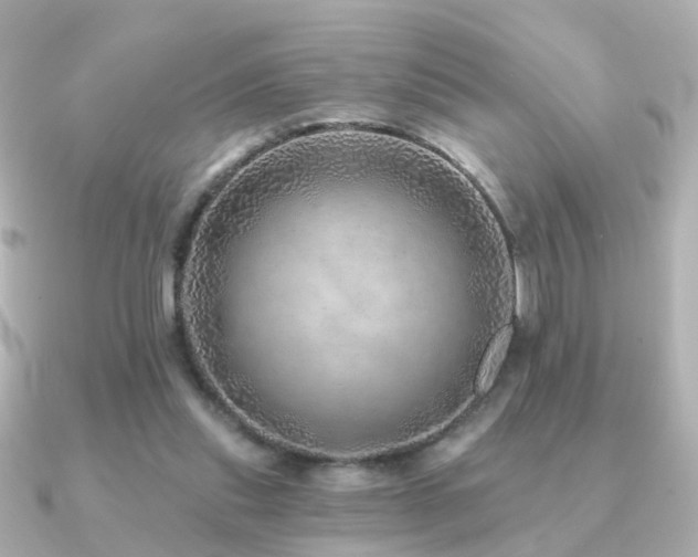 X0000091230253200708091423