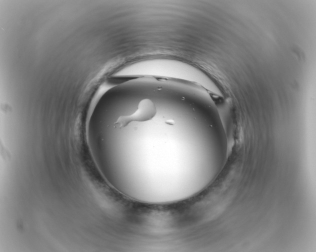 X0000091230256200708091423