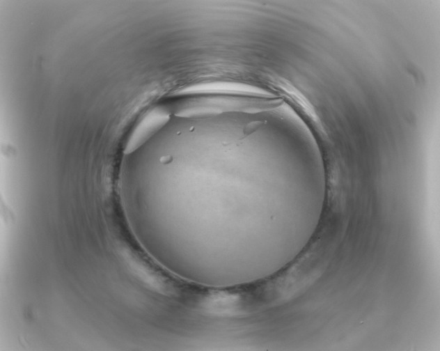 X0000091230257200708091423