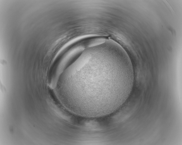 X0000091230258200708091423