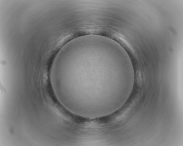 X0000091230259200708091423