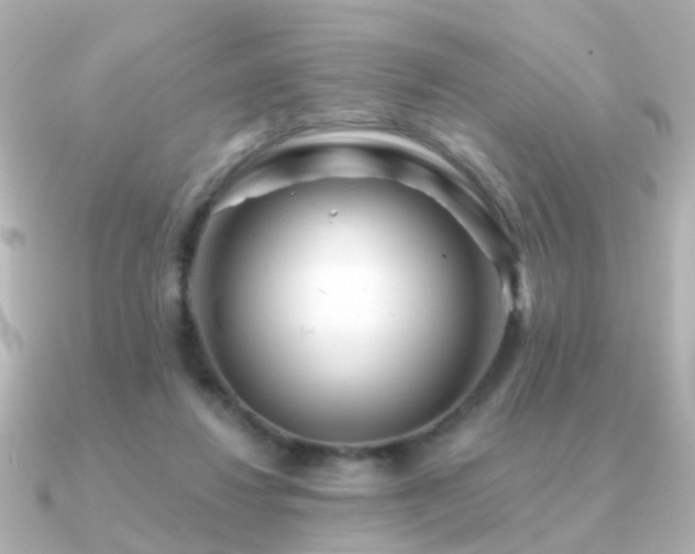 X0000091230260200708091423