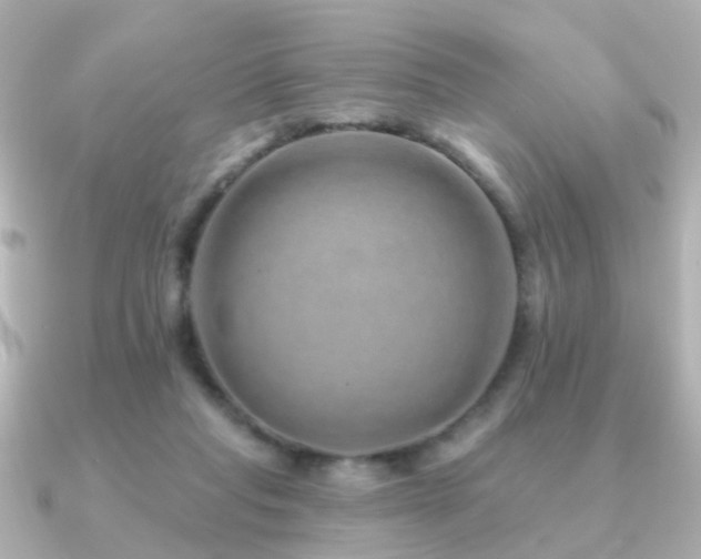 X0000091230261200708091423