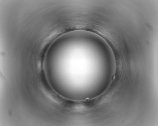 X0000091230262200708091423