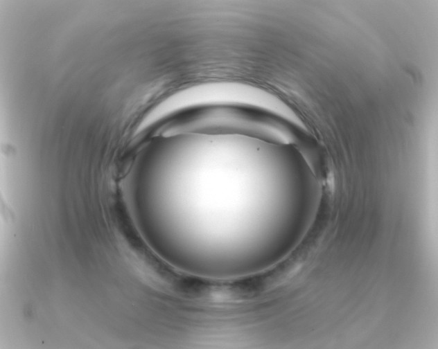 X0000091230264200708091423