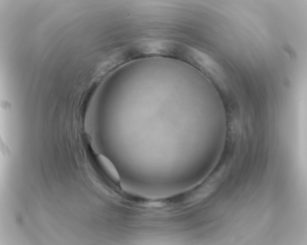 X0000091230265200708091423