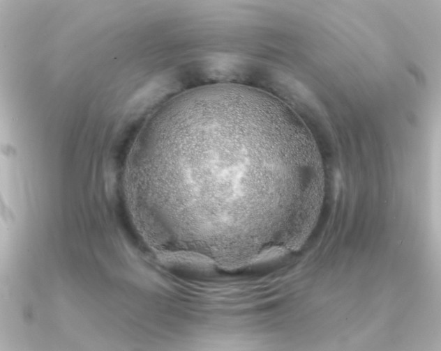 X0000091230266200708091423