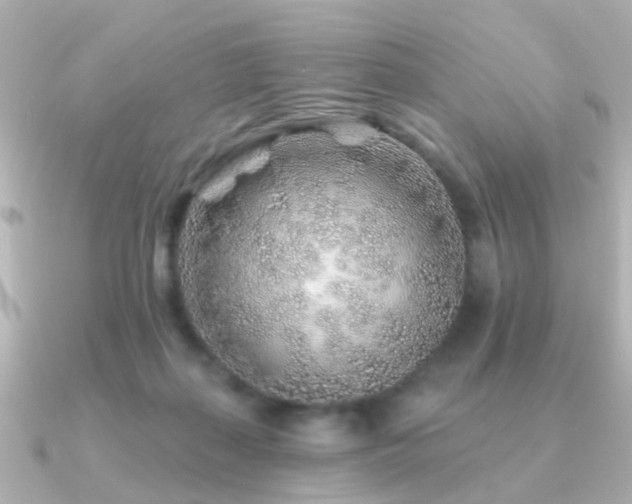 X0000091230267200708091423