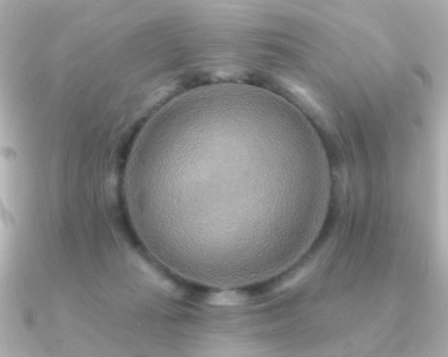 X0000091230269200708091423