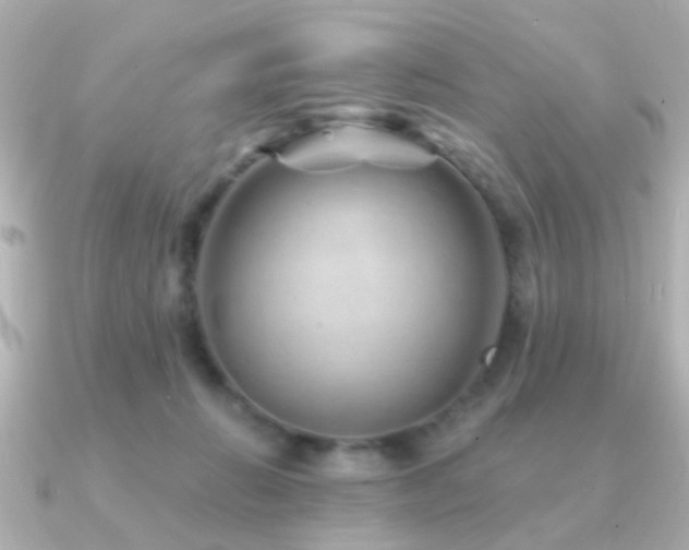 X0000091230270200708091423