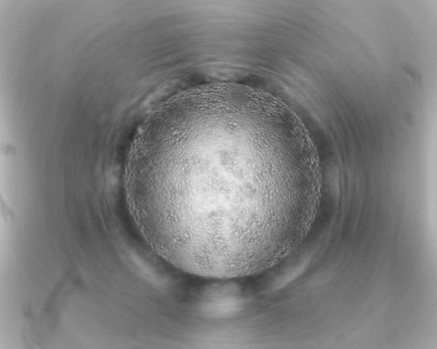 X0000091230271200708091423