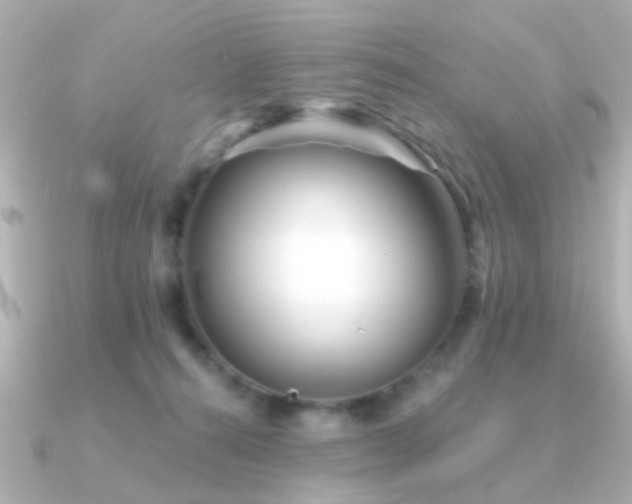 X0000091230272200708091423